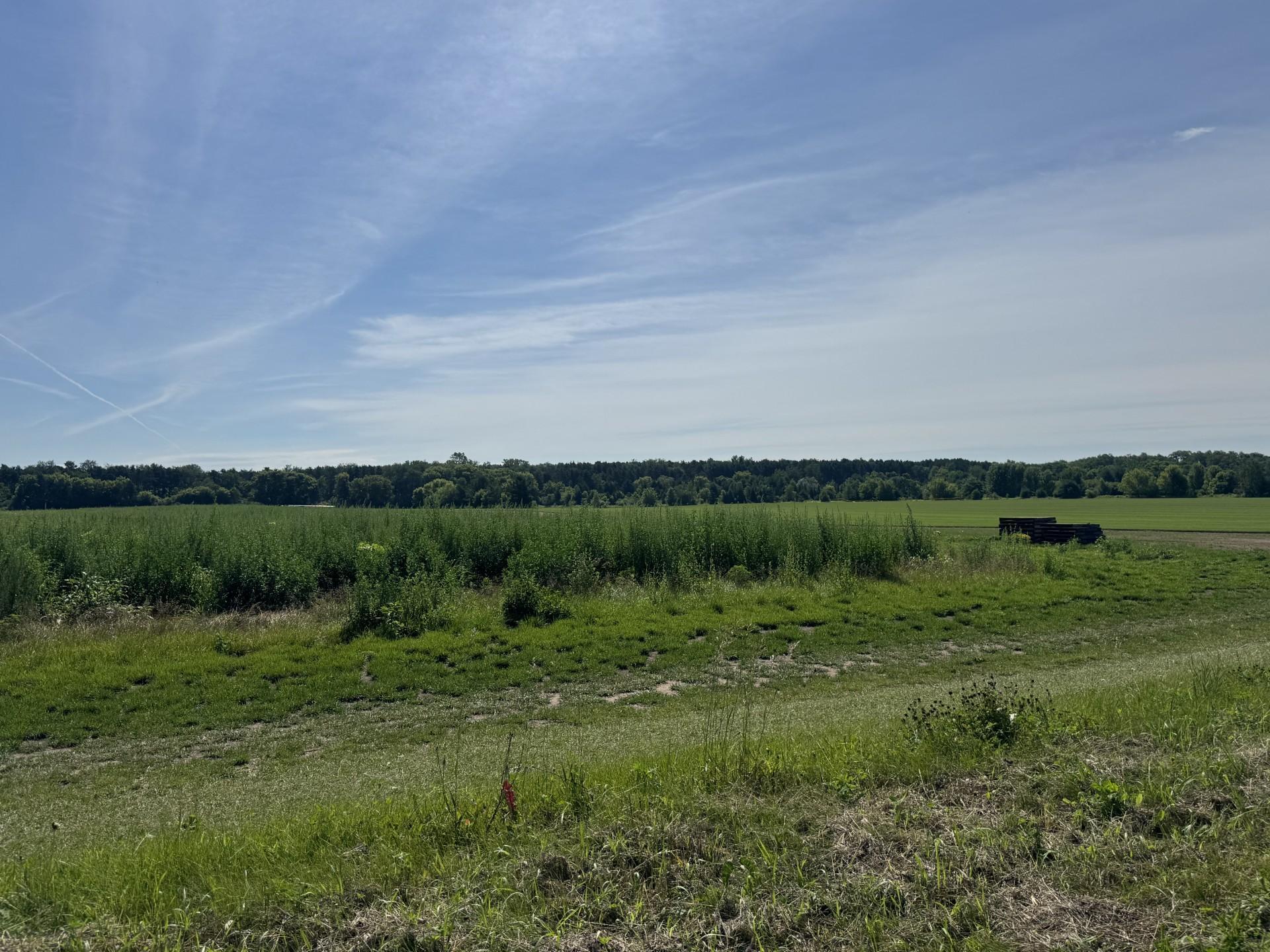 Mogren Farms_Lot C