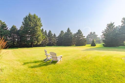 Large 1.25 private backyard