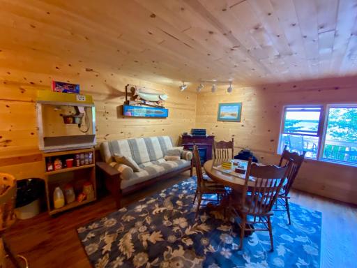 lower level entertainment space