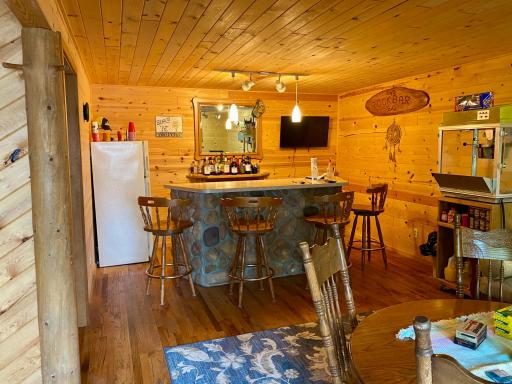 lower level entertainment room