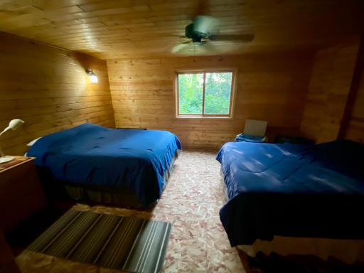 Bedroom 3 (lower level)