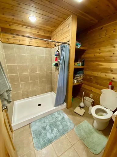 Primary bath (upper level)