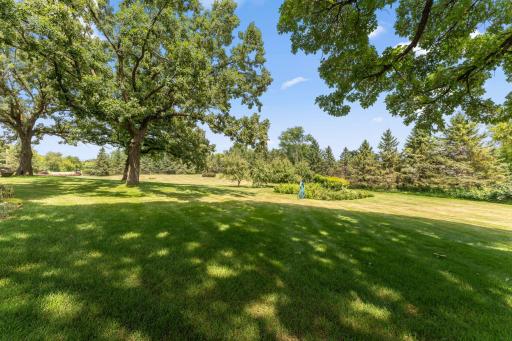 Beautiful front Yard view with lovely landscaping