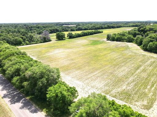 dji_fly_20260603_121454_725_1780506910314_photo.jpeg