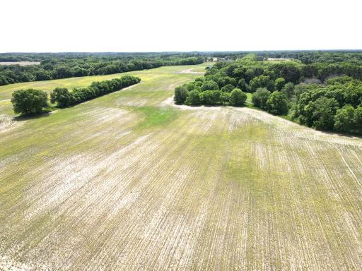 dji_fly_20260603_121336_723_1780506830450_photo.jpeg