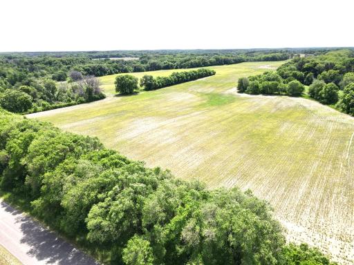 dji_fly_20260603_121430_724_1780506885194_photo.jpeg