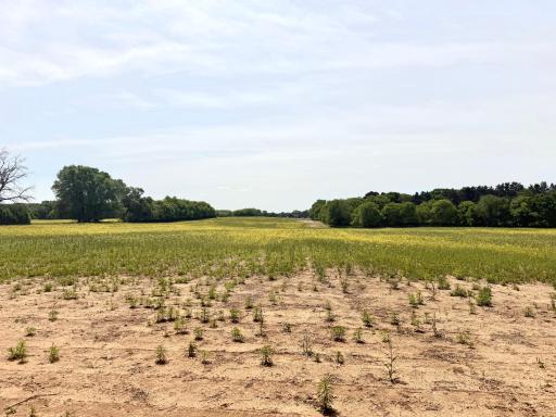TBD-10AC 87th Street SE, Becker, MN 55308