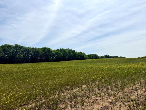 TBD-10AC 87th Street SE, Becker, MN 55308