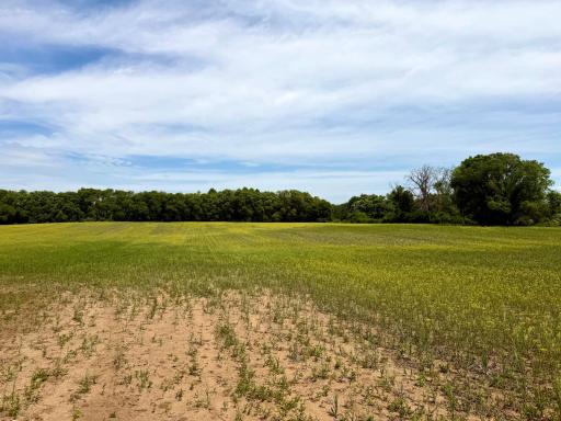 TBD-10AC 87th Street SE, Becker, MN 55308
