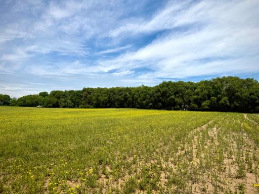 TBD-10AC 87th Street SE, Becker, MN 55308