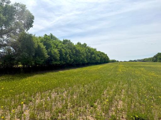 TBD-10AC 87th Street SE, Becker, MN 55308