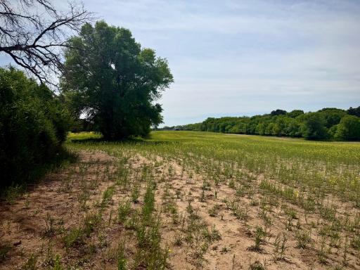 TBD-10AC 87th Street SE, Becker, MN 55308