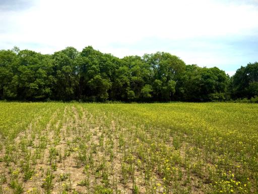 TBD-10AC 87th Street SE, Becker, MN 55308