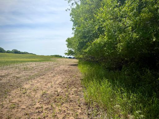 TBD-10AC 87th Street SE, Becker, MN 55308
