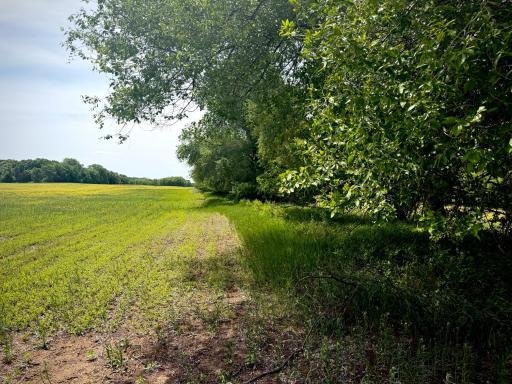 TBD-10AC 87th Street SE, Becker, MN 55308