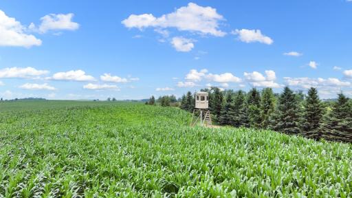 25759 State Highway 55, Lowry, MN 56349