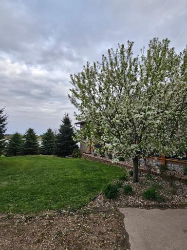 25759 State Highway 55, Lowry, MN 56349
