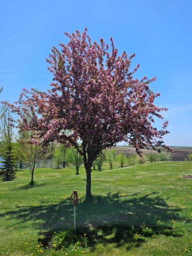 25759 State Highway 55, Lowry, MN 56349
