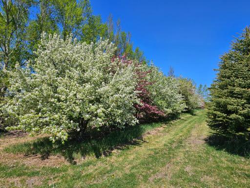 25759 State Highway 55, Lowry, MN 56349