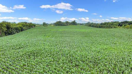 25759 State Highway 55, Lowry, MN 56349