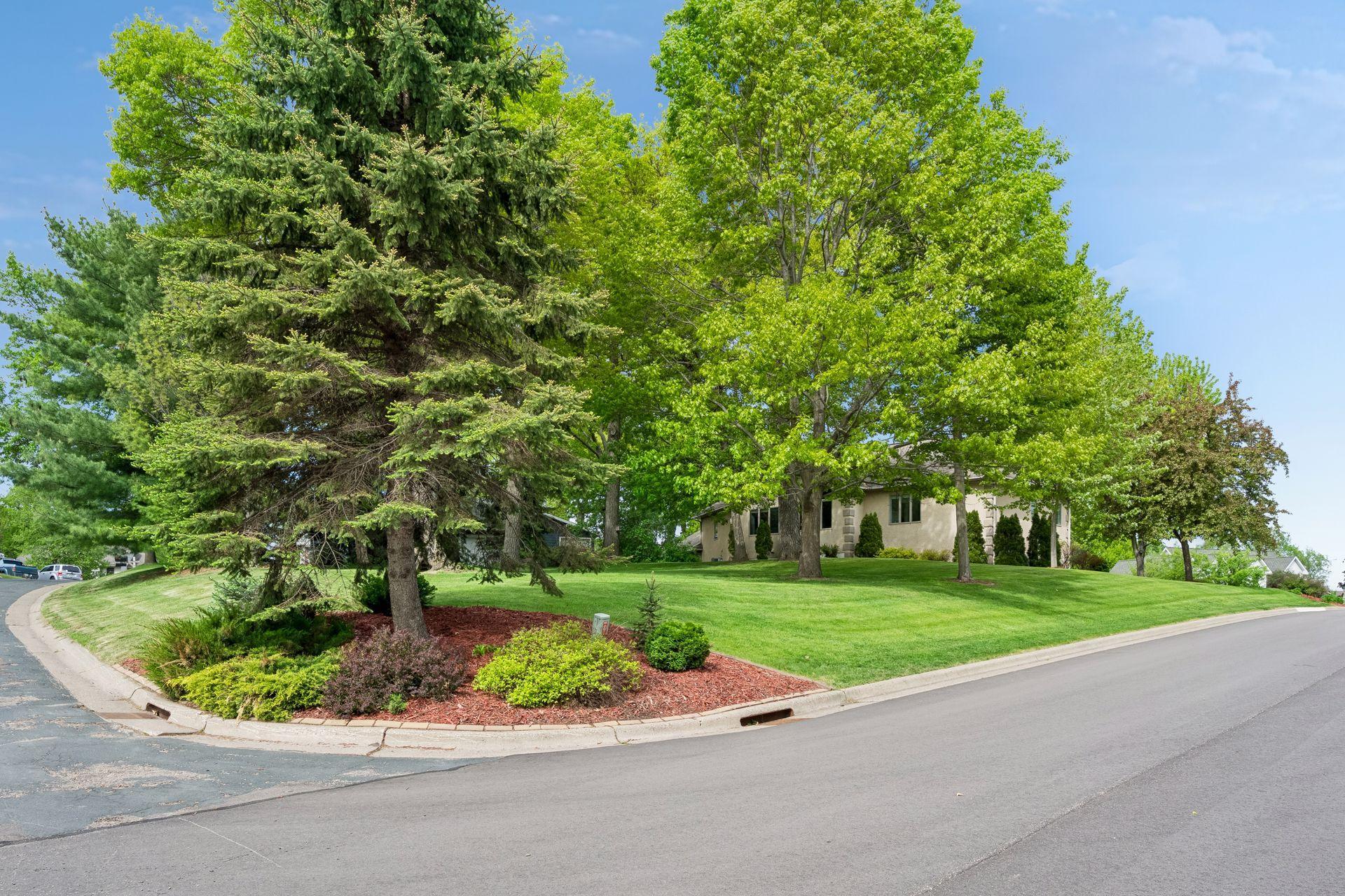 Wooded corner lot