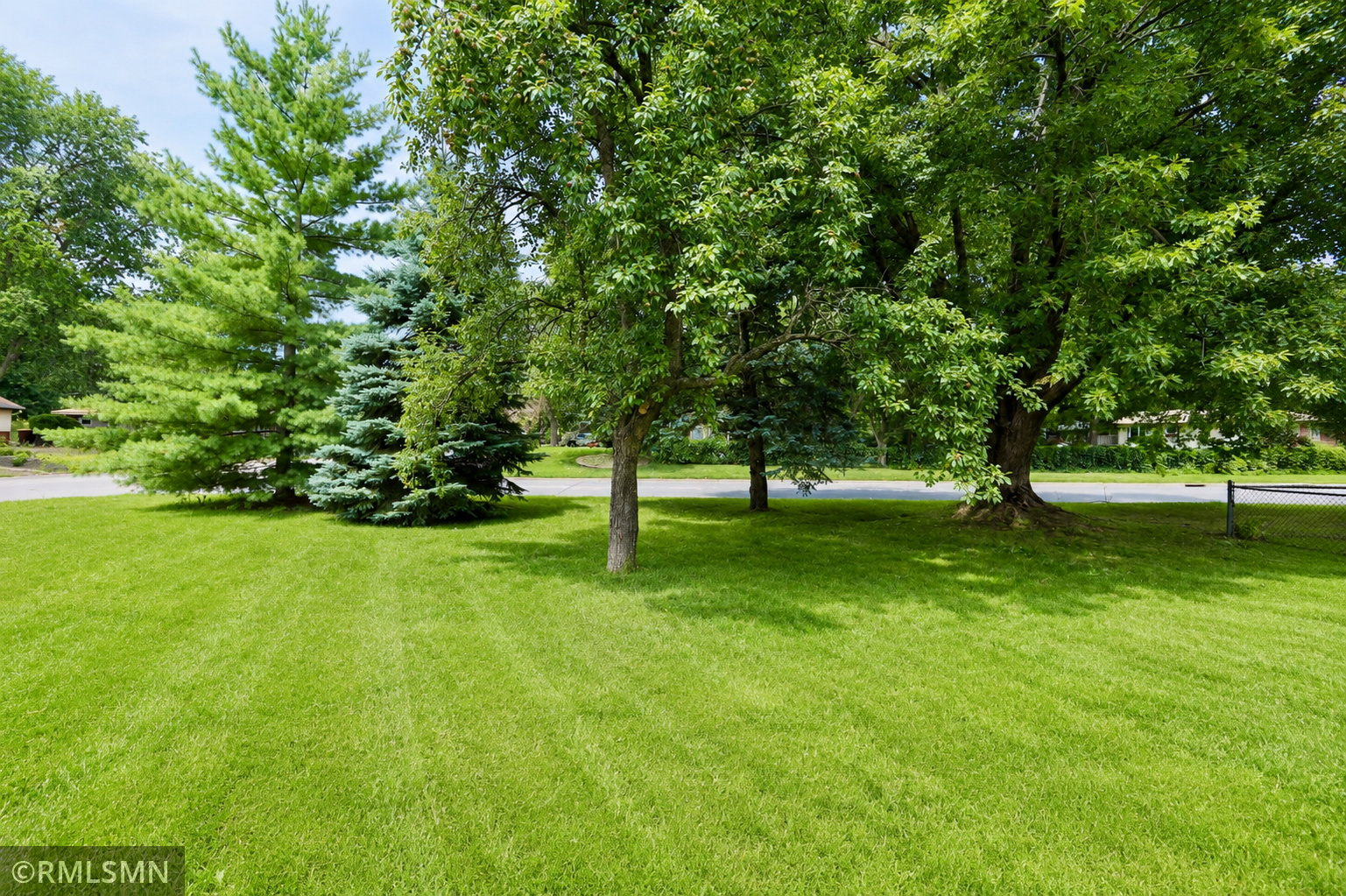 #34-Irving Large Tree filled Lot.png