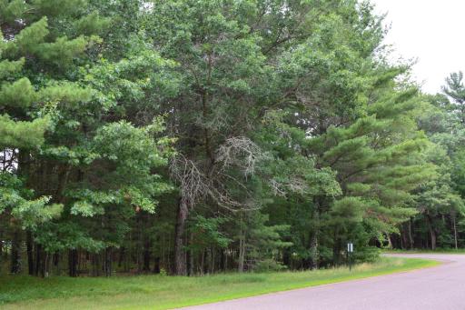 TBD Benson Road, Grantsburg, WI 54840