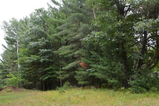 TBD Benson Road, Grantsburg, WI 54840