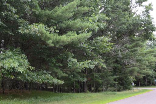 TBD Benson Road, Grantsburg, WI 54840