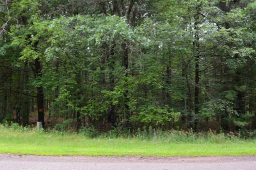 TBD Benson Road, Grantsburg, WI 54840