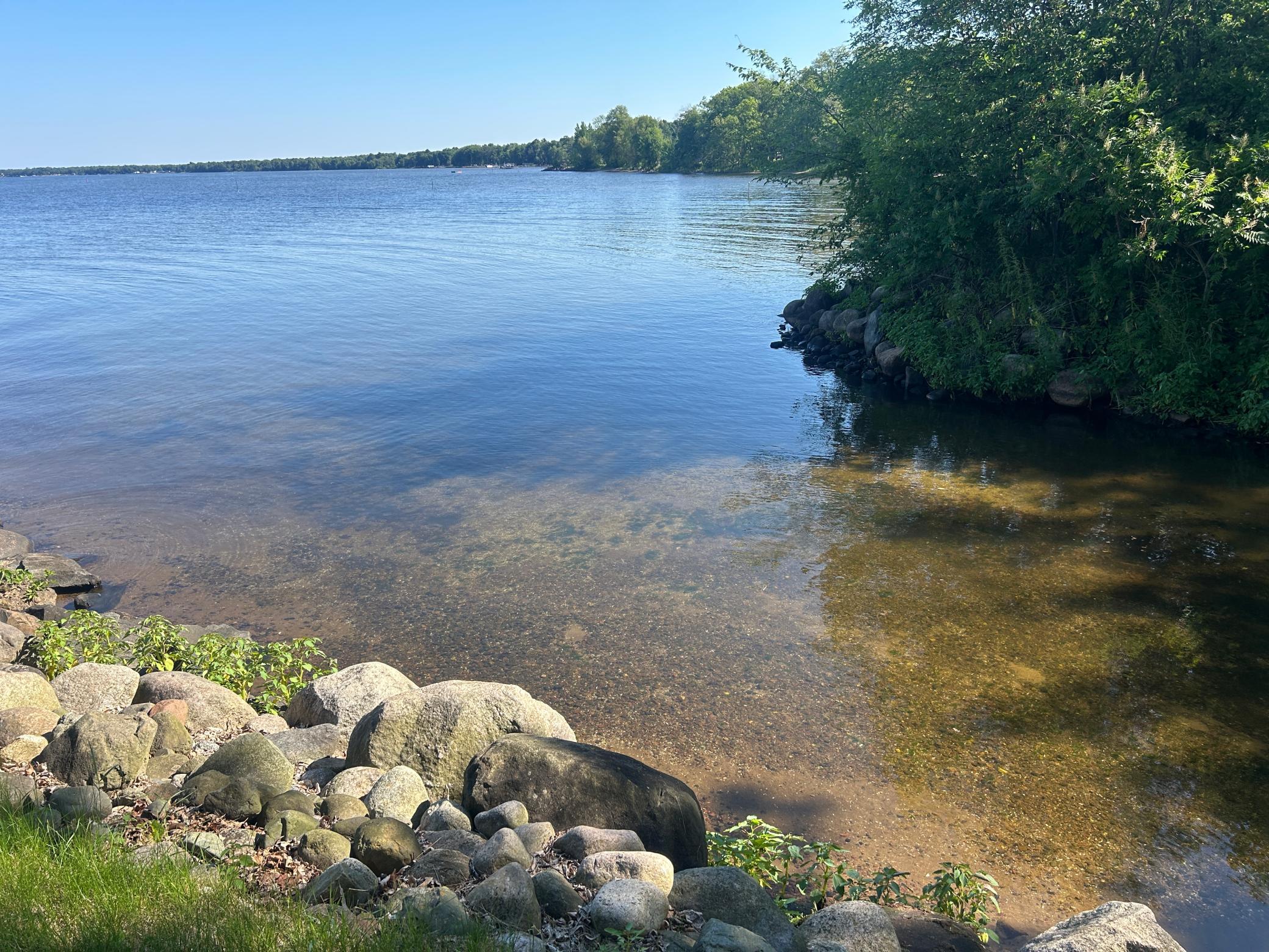 A look at the lake bottom at the edge of the harbor.