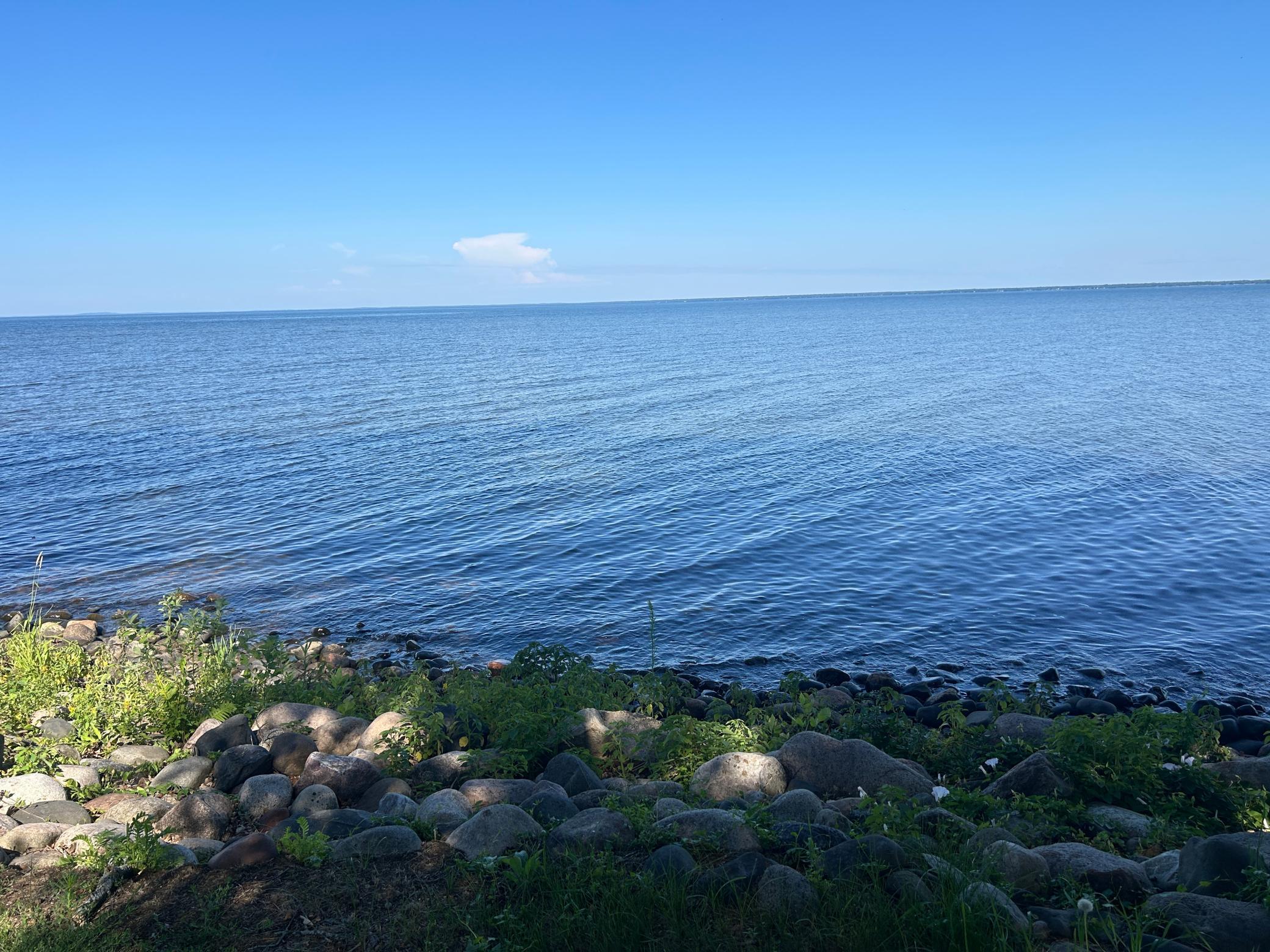 Looking out at the lake from the backyard shoreline.