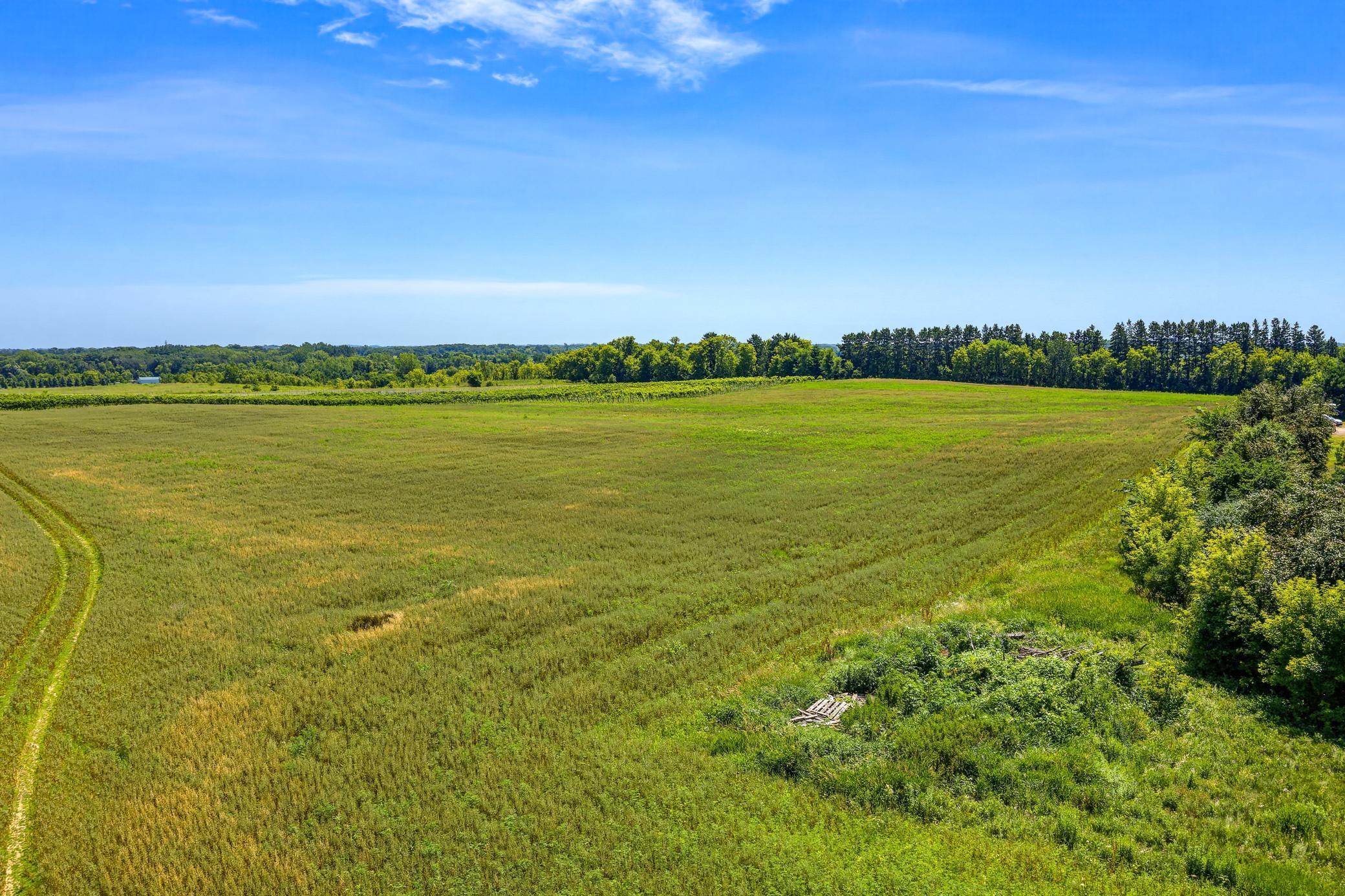 Build your private retreat, lease out the tillable farmland for immediate income, or transition the acreage into a private hobby farm.