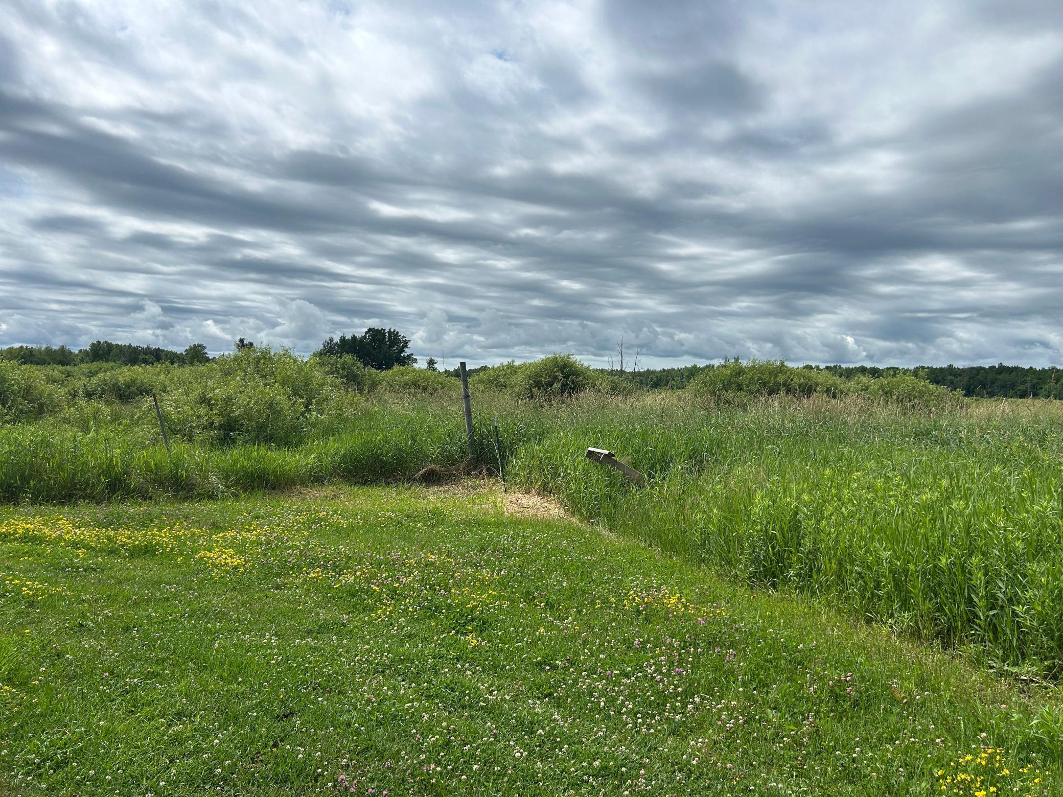 SE corner of property