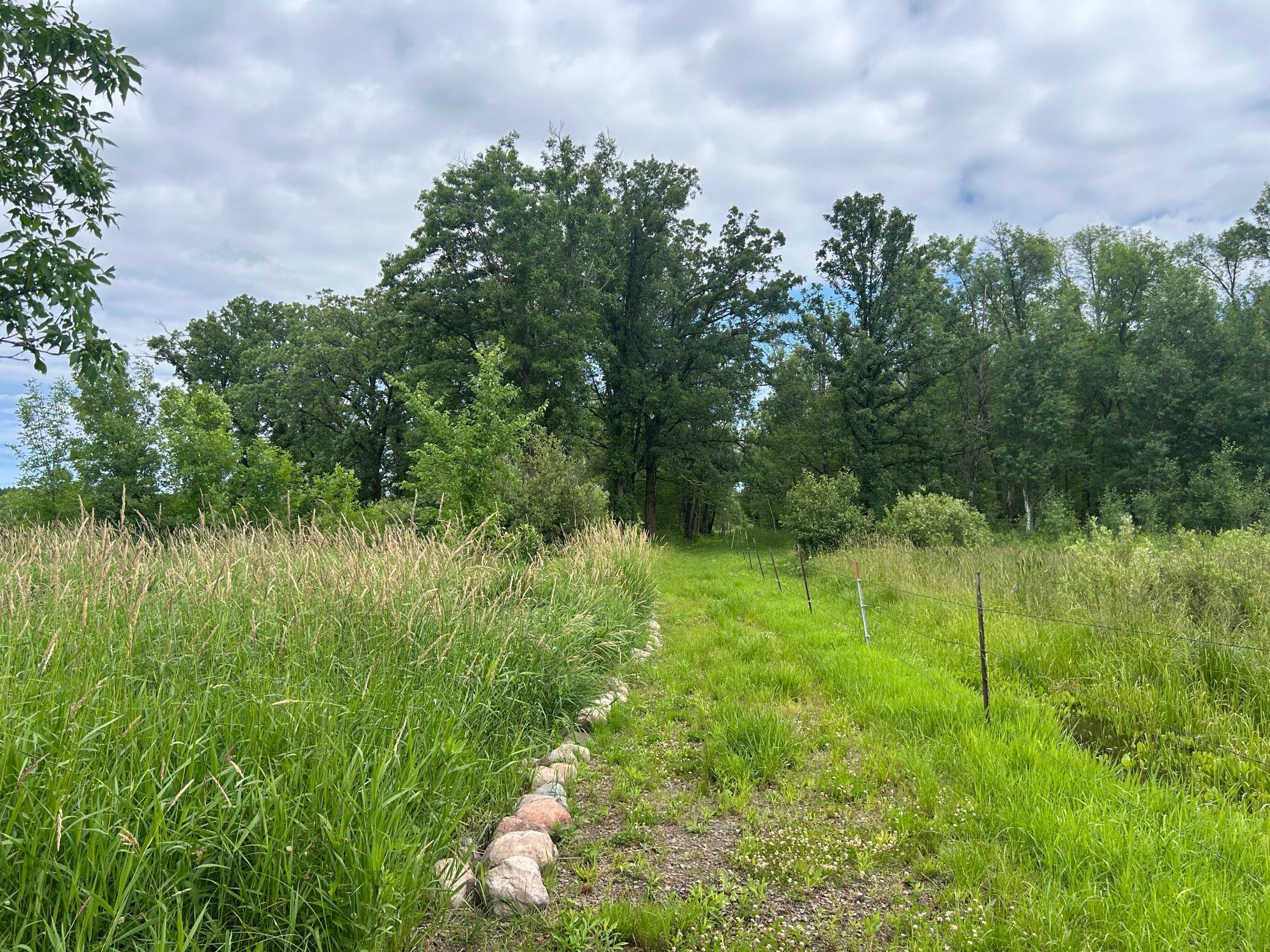 Fenceline views