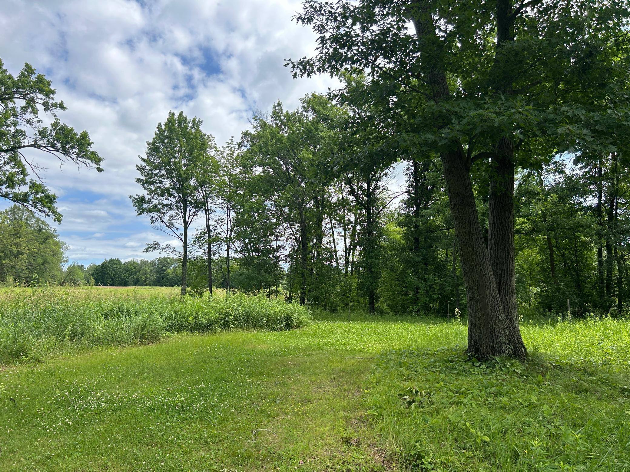 Yard views