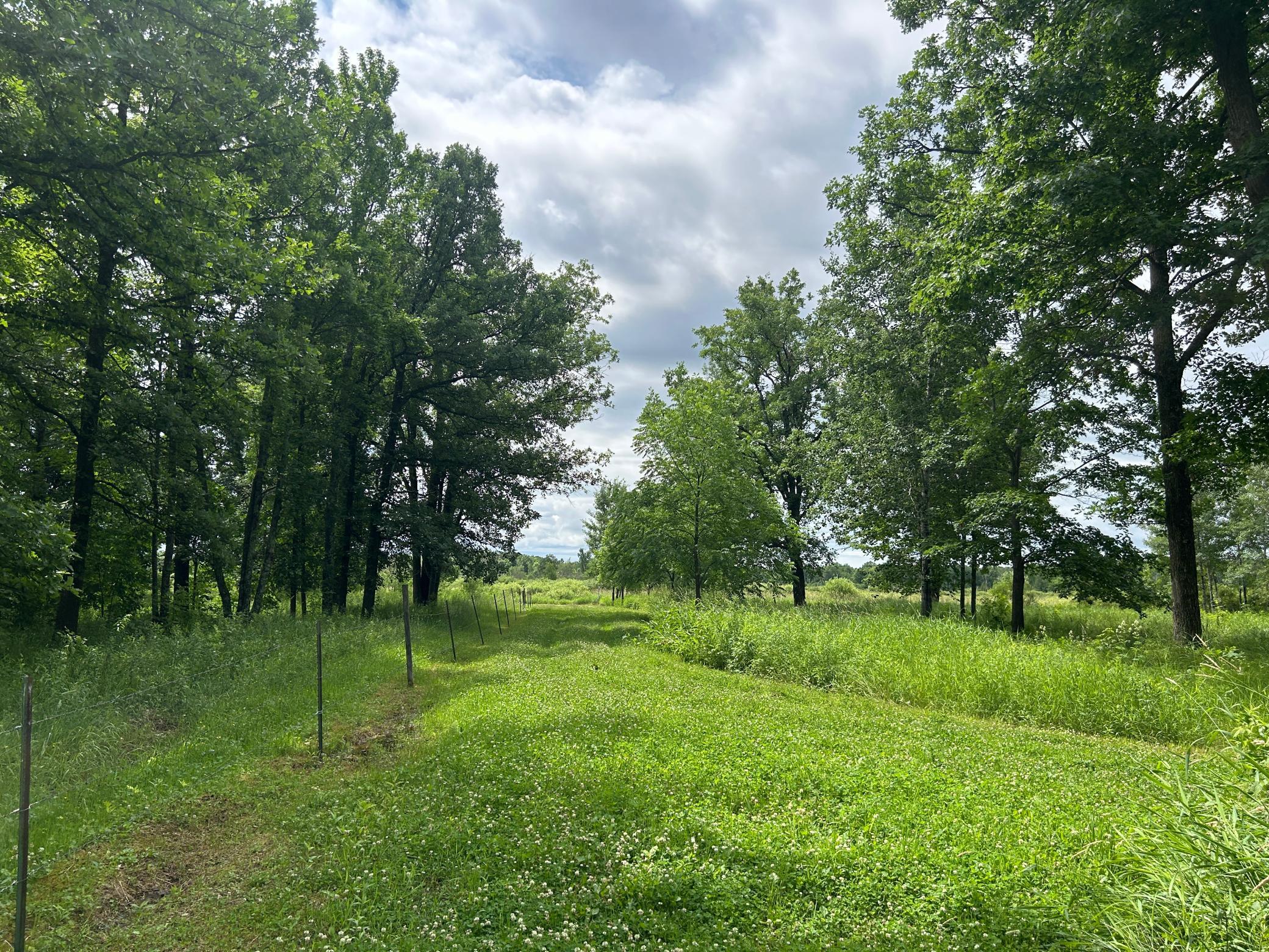 Looking along the neighboring fenceline which runs along the ease boundary line...
