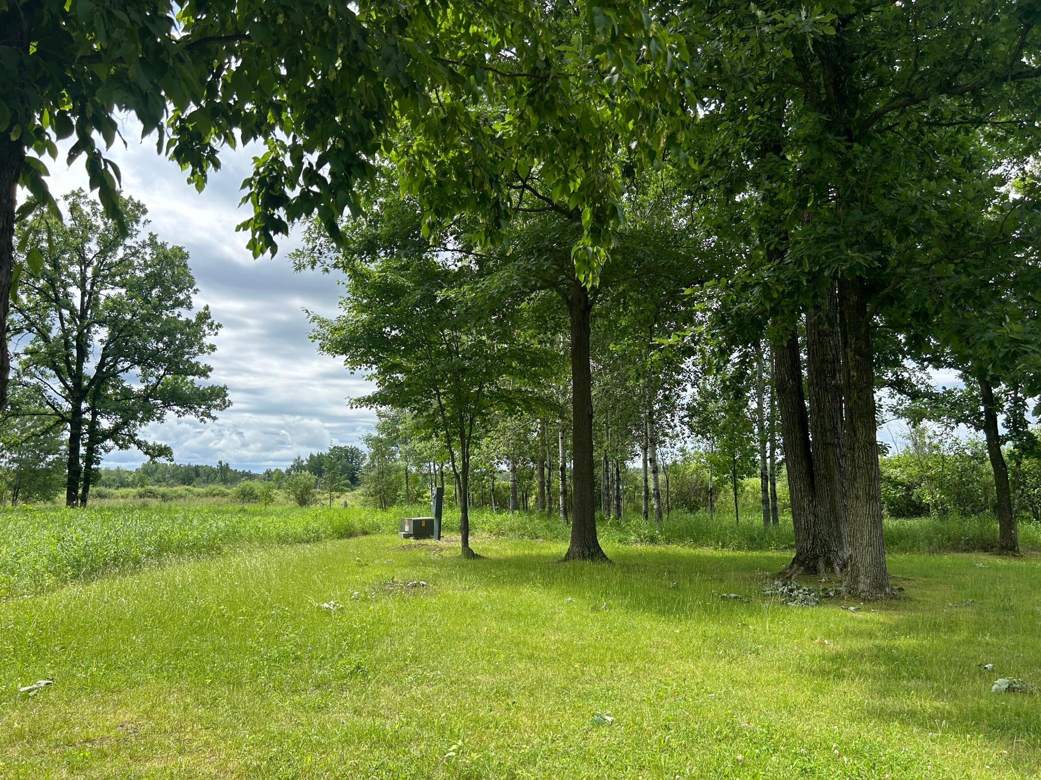 Yard views