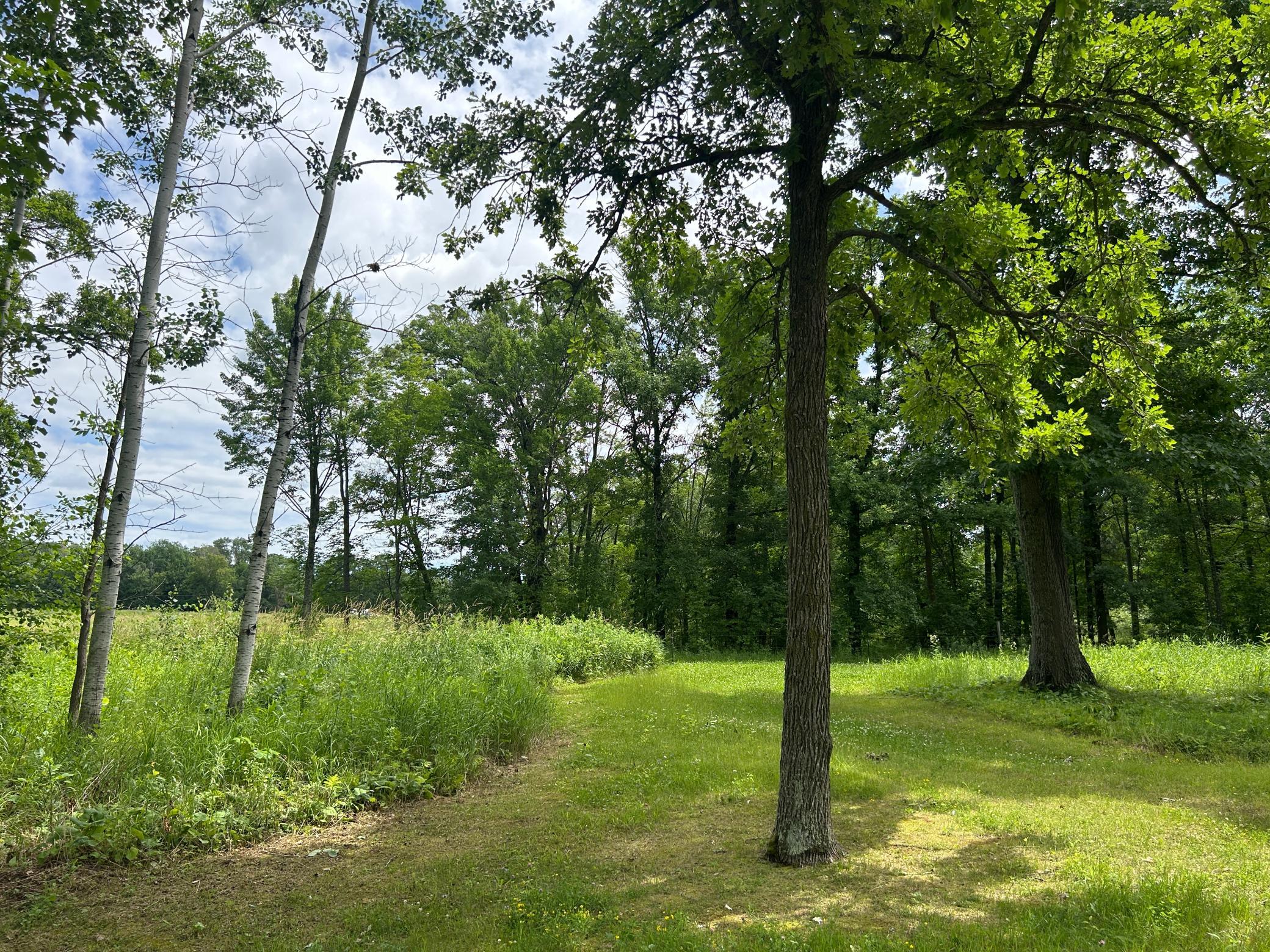 Yard views
