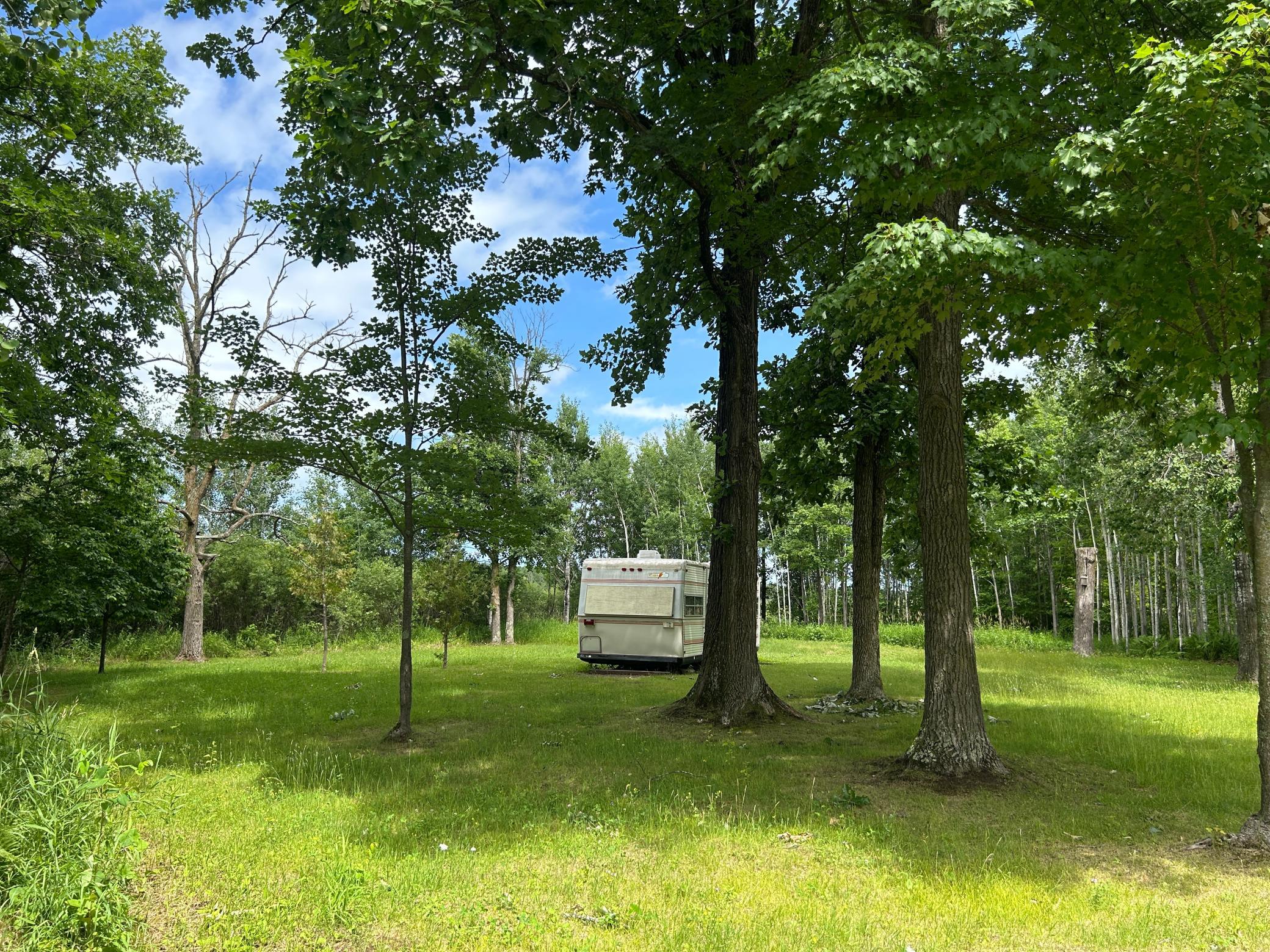 Yard views