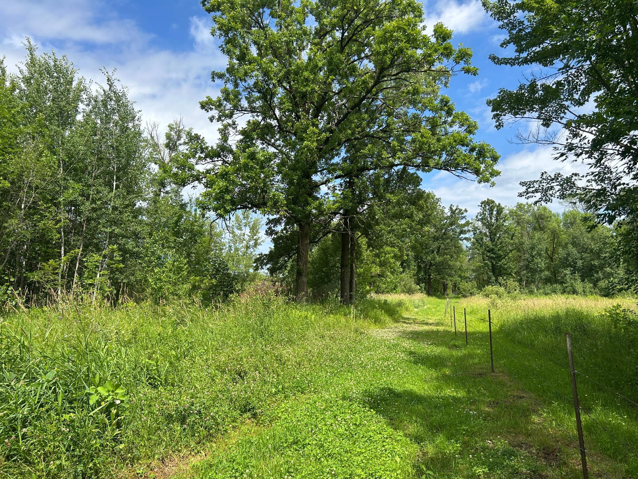 E line fenceline views - this path runs all along the E property line...