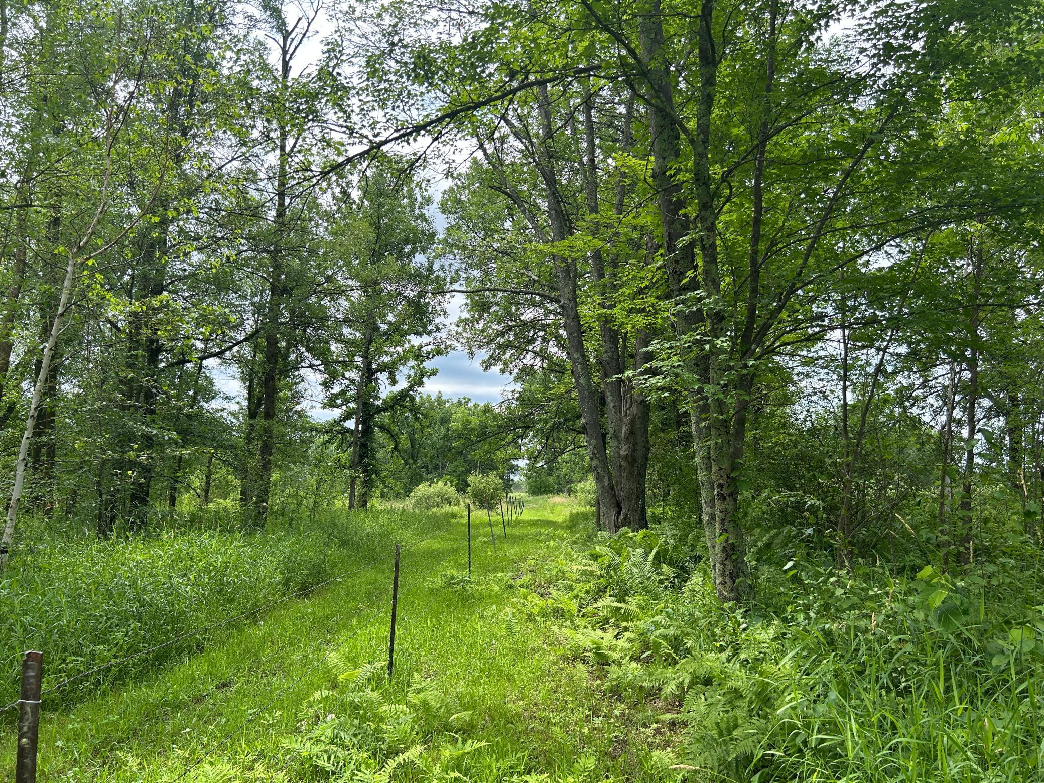 Fenceline path views