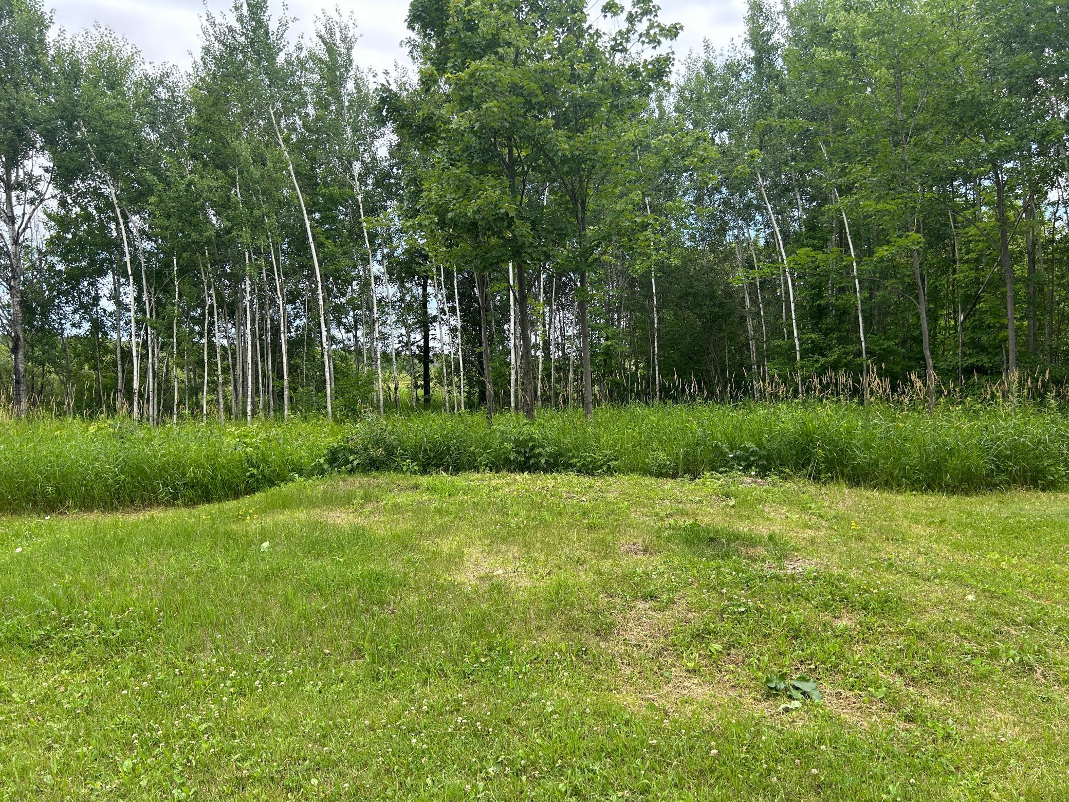 Yard views