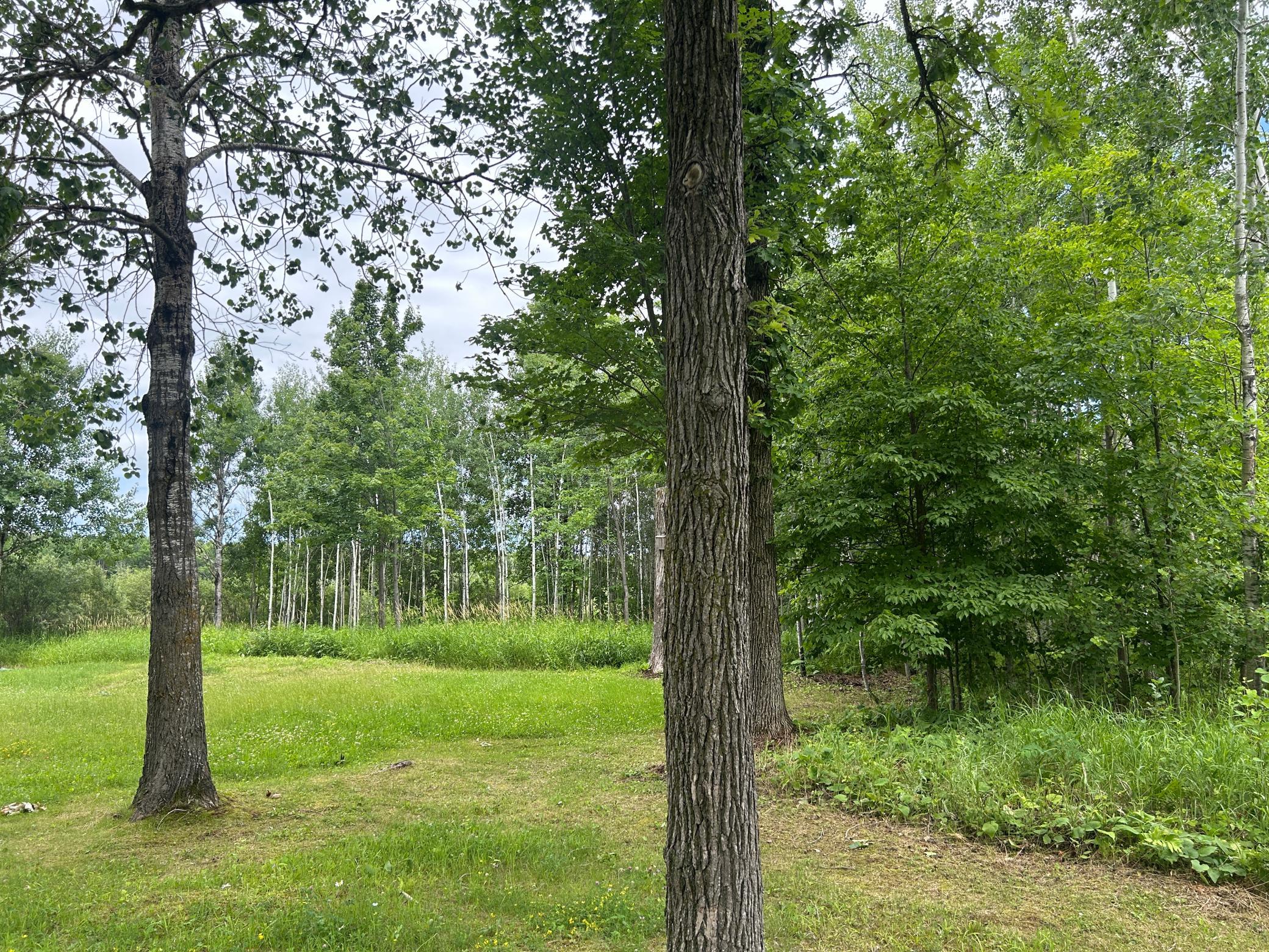 Yard views