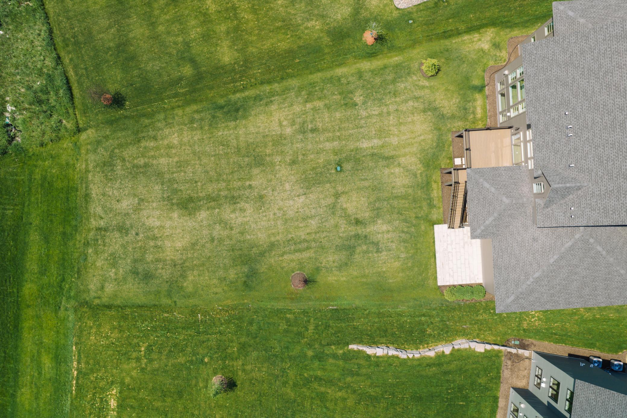 Large Backyard