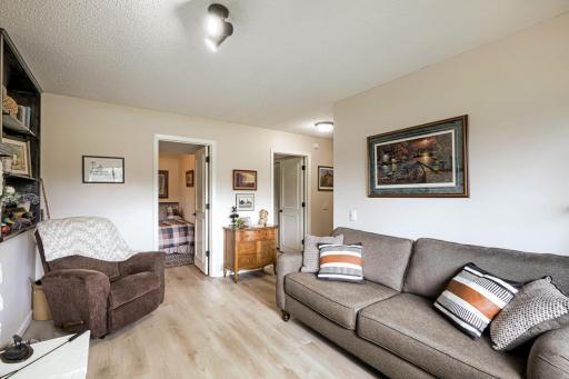 Lower level family room