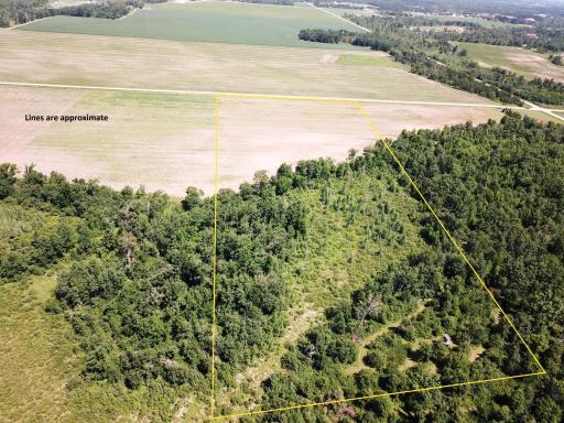 TBD Boot Lake Road SW, Bemidji, MN 56601