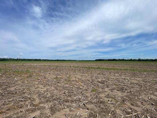 TBD Boot Lake Road SW, Bemidji, MN 56601