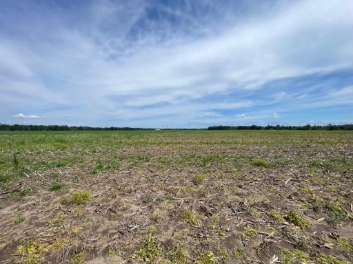 TBD Boot Lake Road SW, Bemidji, MN 56601