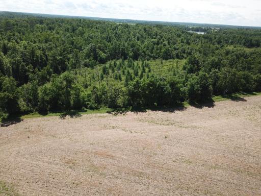 TBD Boot Lake Road SW, Bemidji, MN 56601